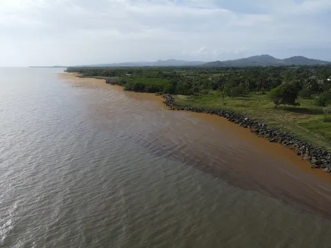 Sargazo — SABANA DE LA MAR (Este)